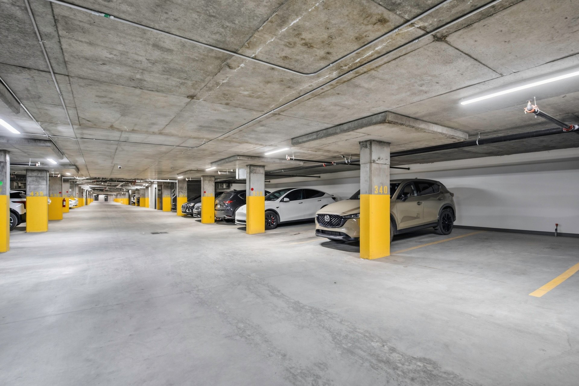 









4240


Rue Olivier-Fournier

, 201,
Longueuil (Saint-Hubert),




QC
J3Y1K6

