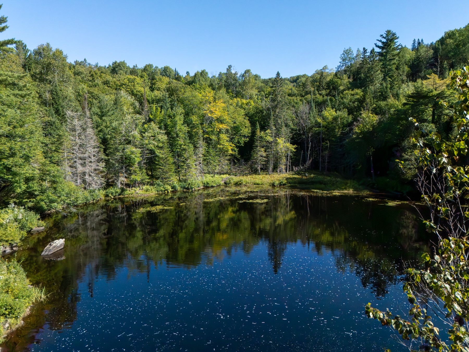 












Ch. des Cascades

,
Mandeville,







QC
J0K1L0

