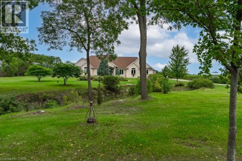 Expansive green lawn with mature trees and a gently sloped terrain