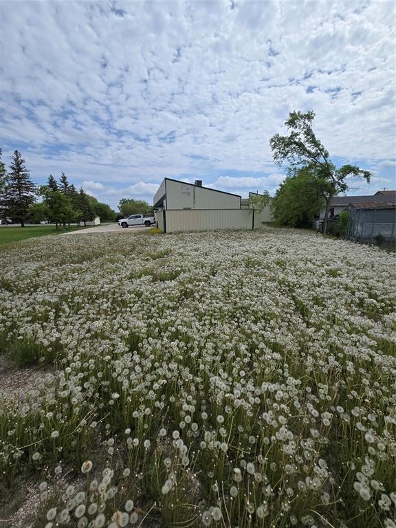












449 Main Street

,
Ile Des Chenes,




Manitoba
R0A0T0

