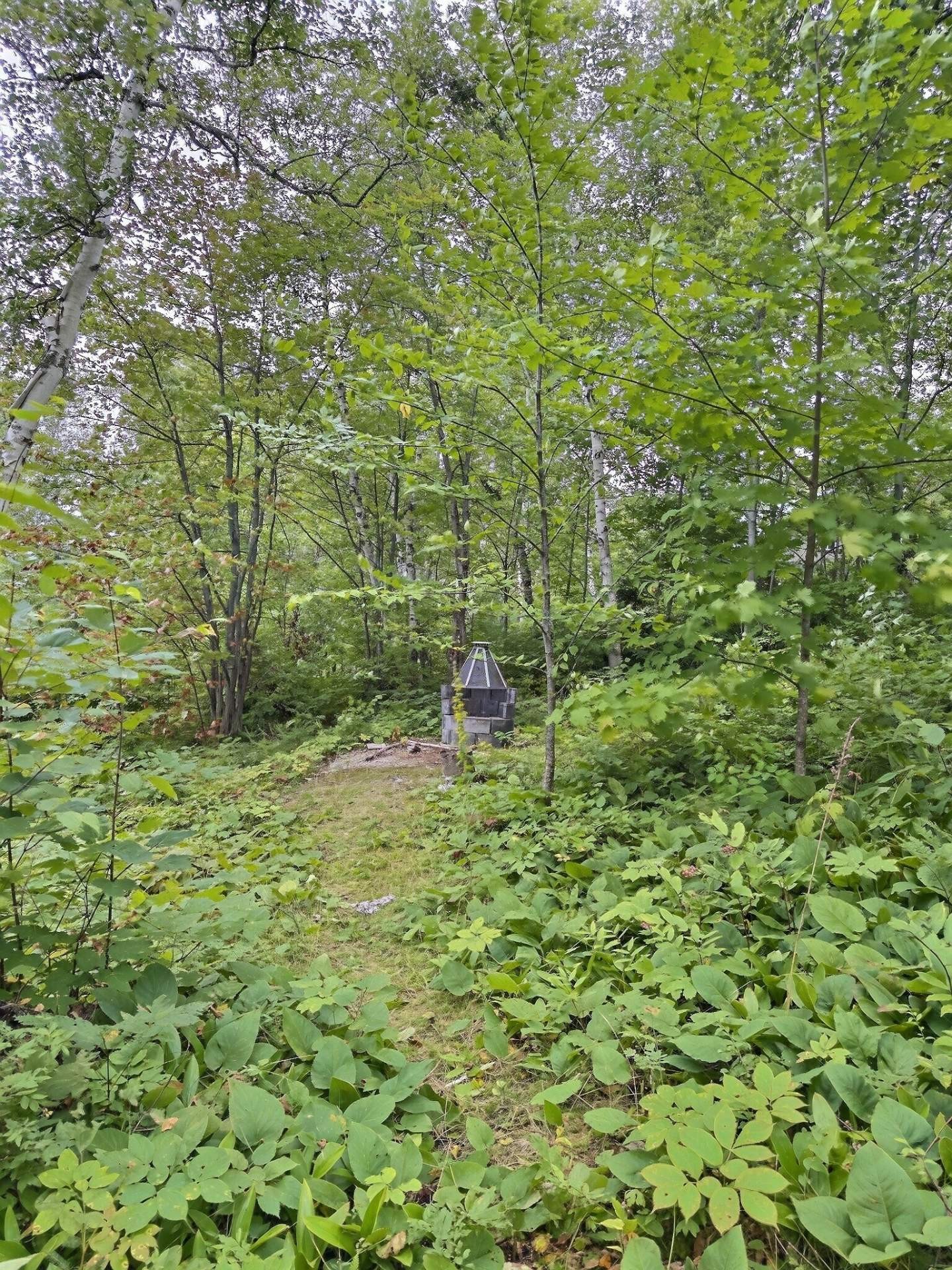 









13


Ch. du Lac-Brisebois

,
Latulipe-et-Gaboury,




QC
J0Z2N0

