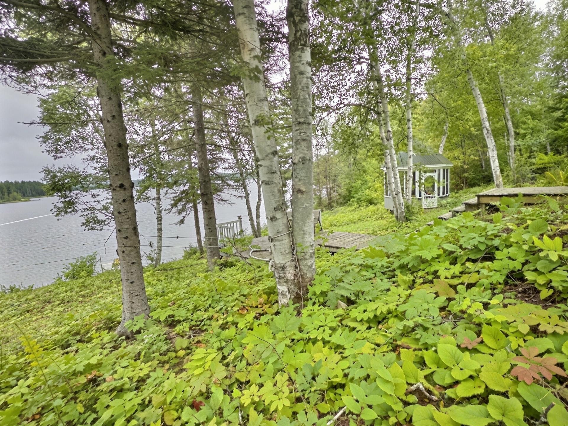 









13


Ch. du Lac-Brisebois

,
Latulipe-et-Gaboury,




QC
J0Z2N0

