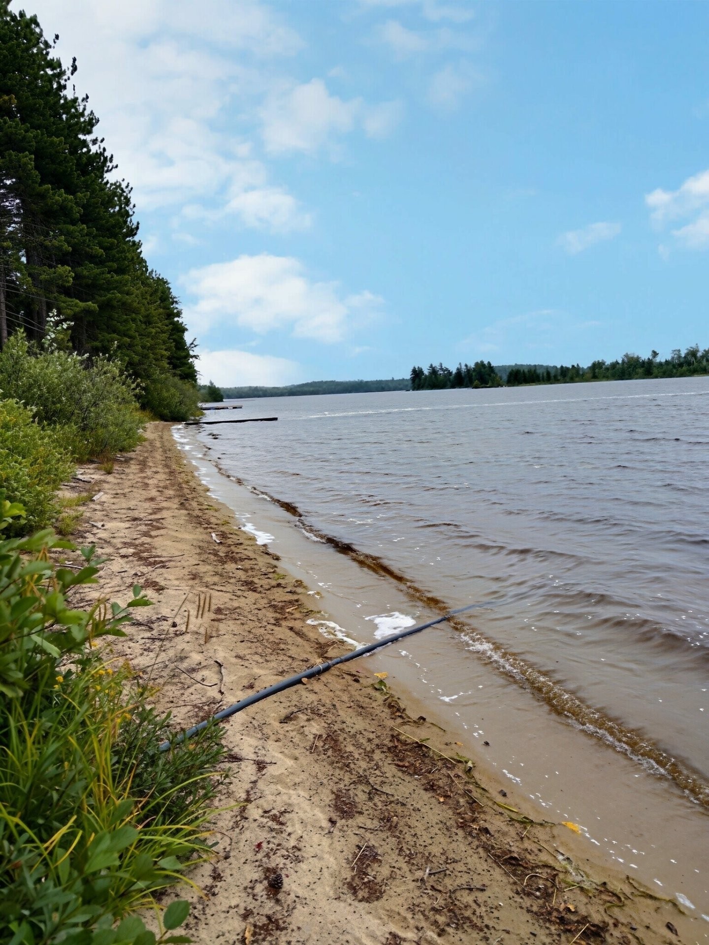 









13


Ch. du Lac-Brisebois

,
Latulipe-et-Gaboury,




QC
J0Z2N0

