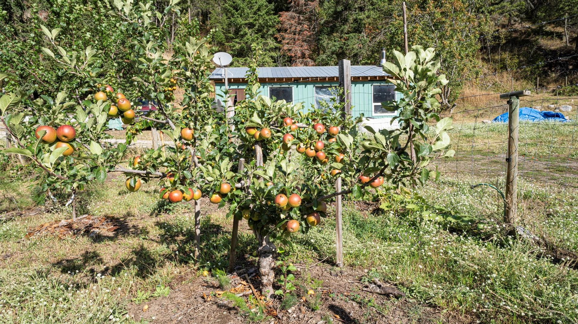 









1021


Creighton Valley

Road,
Lumby,







BC
V0E 2G1

