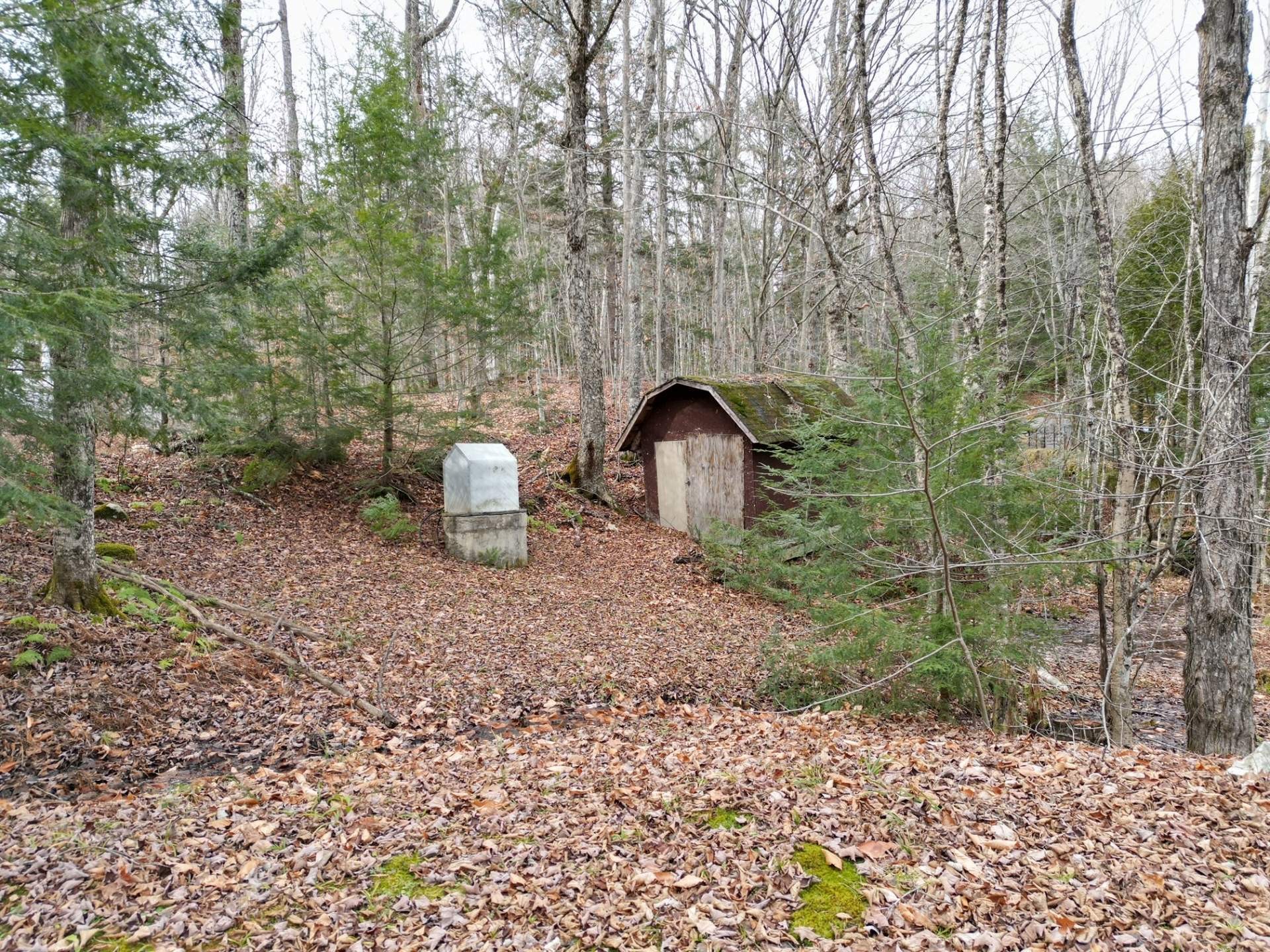 









4


Ch. M.-Cousineau

,
Val-des-Monts,







QC
J8N4G7

