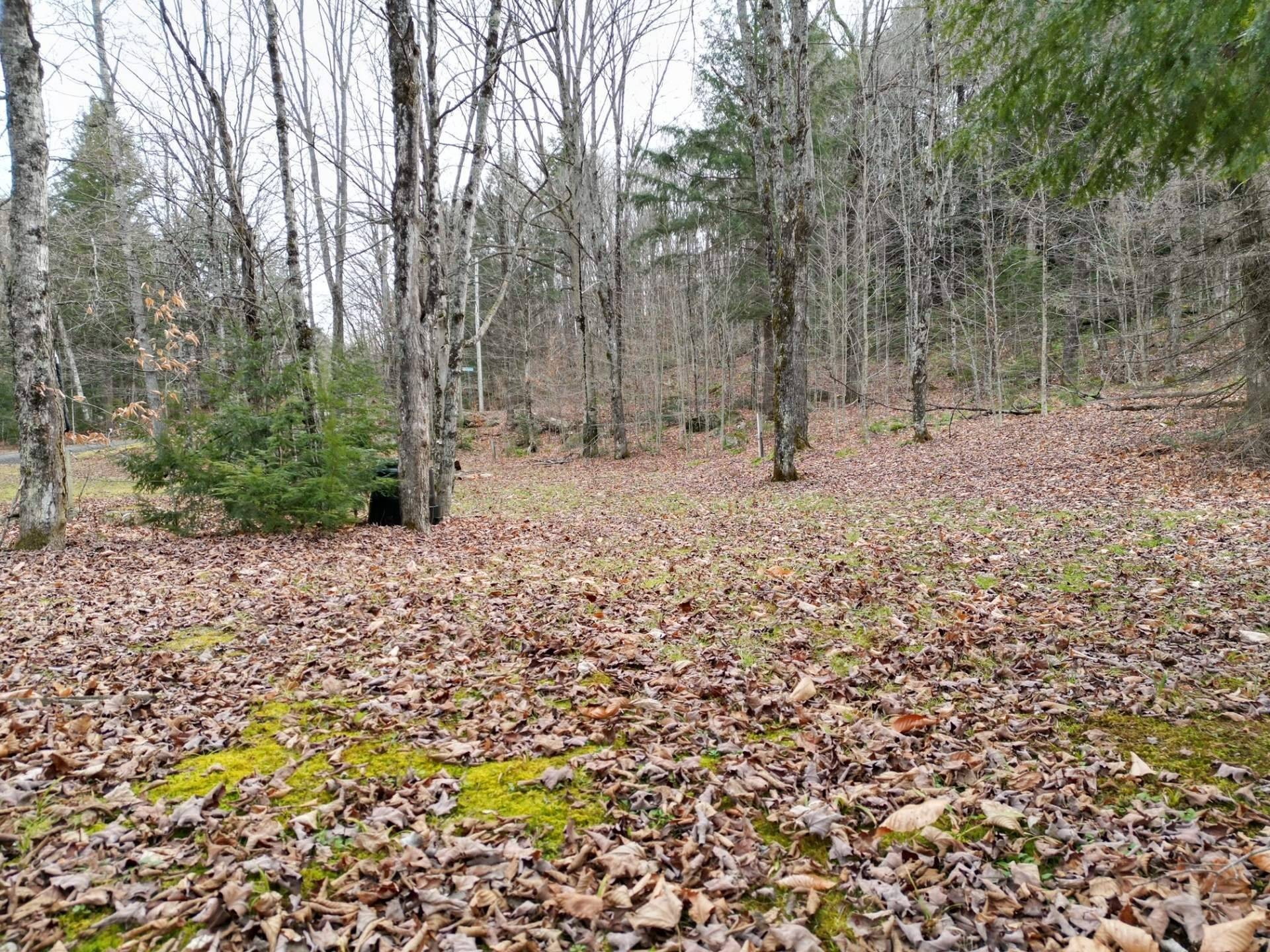 









4


Ch. M.-Cousineau

,
Val-des-Monts,







QC
J8N4G7

