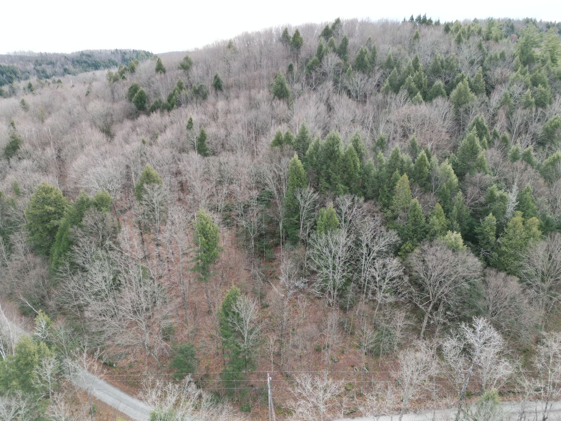 









4


Ch. M.-Cousineau

,
Val-des-Monts,







QC
J8N4G7

