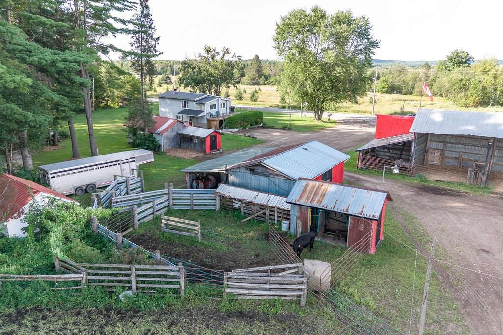 









195


Ch. Wesley

,
Clarendon,







QC
J0X2Y0

