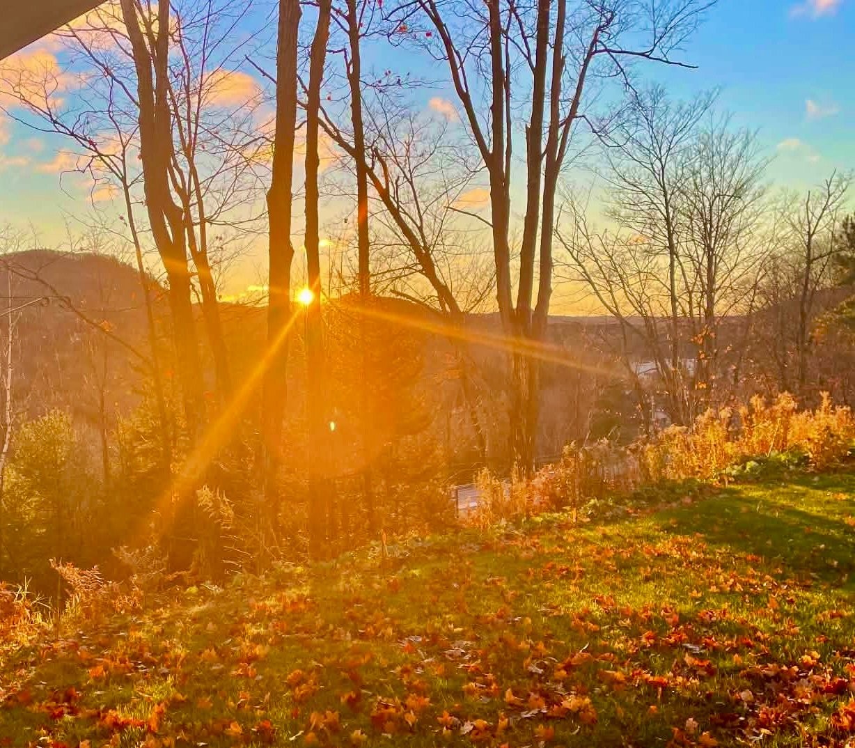 









416


Ch. de la Pinède

,
Piedmont,




QC
J0R1K0

