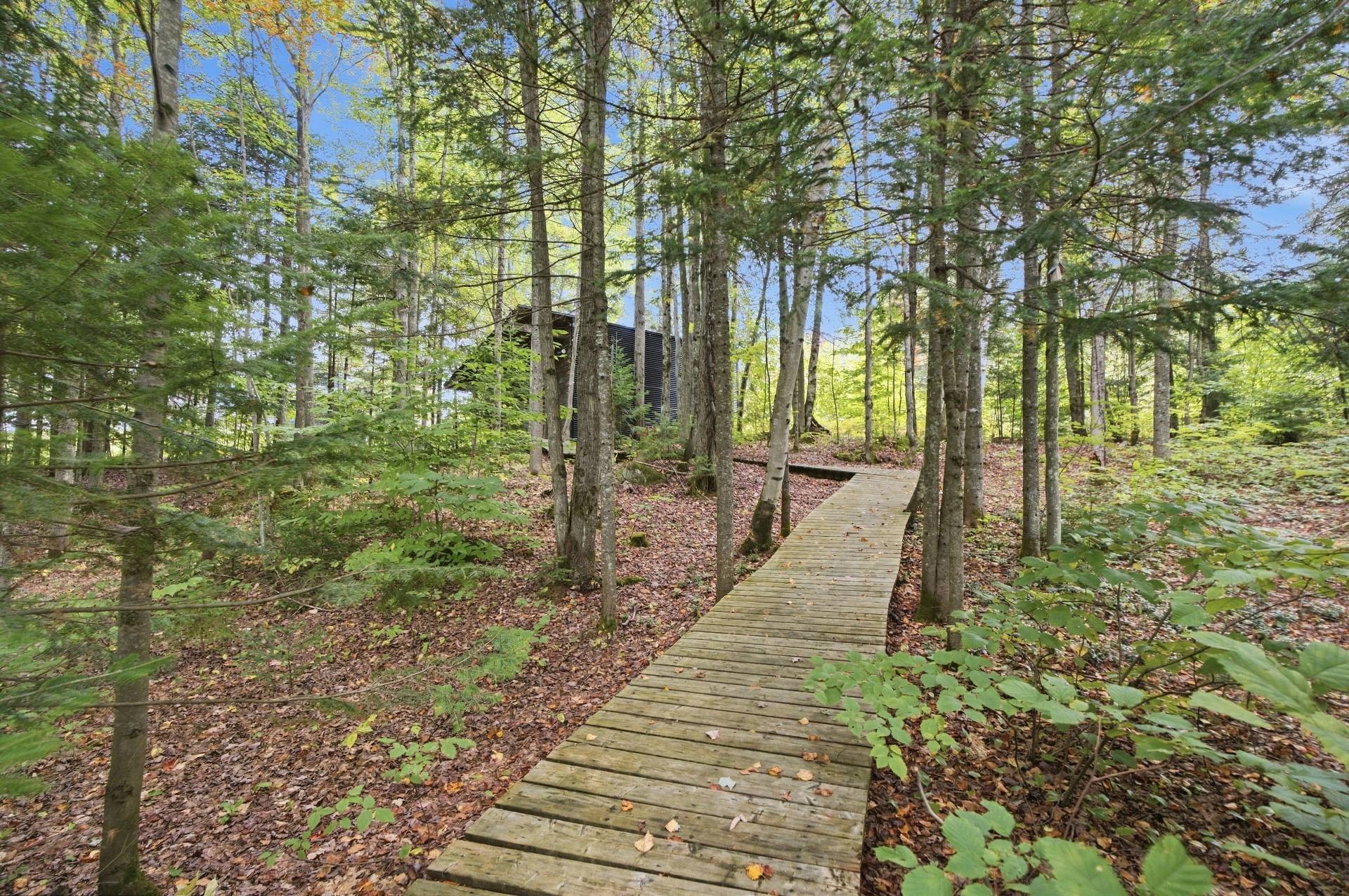 









104


Av. Gauthier

,
Sainte-Béatrix,




QC
J0K1Y0

