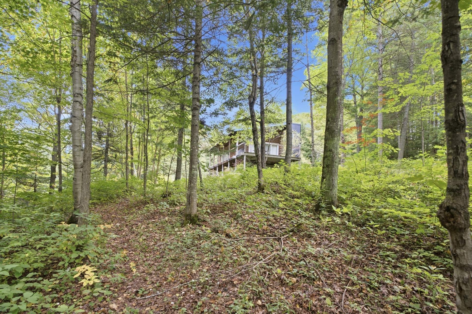 









104


Av. Gauthier

,
Sainte-Béatrix,




QC
J0K1Y0

