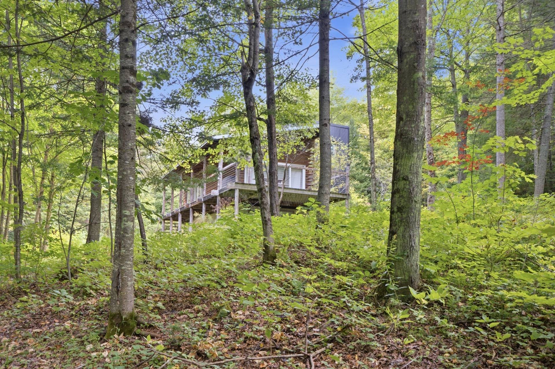 









104


Av. Gauthier

,
Sainte-Béatrix,




QC
J0K1Y0

