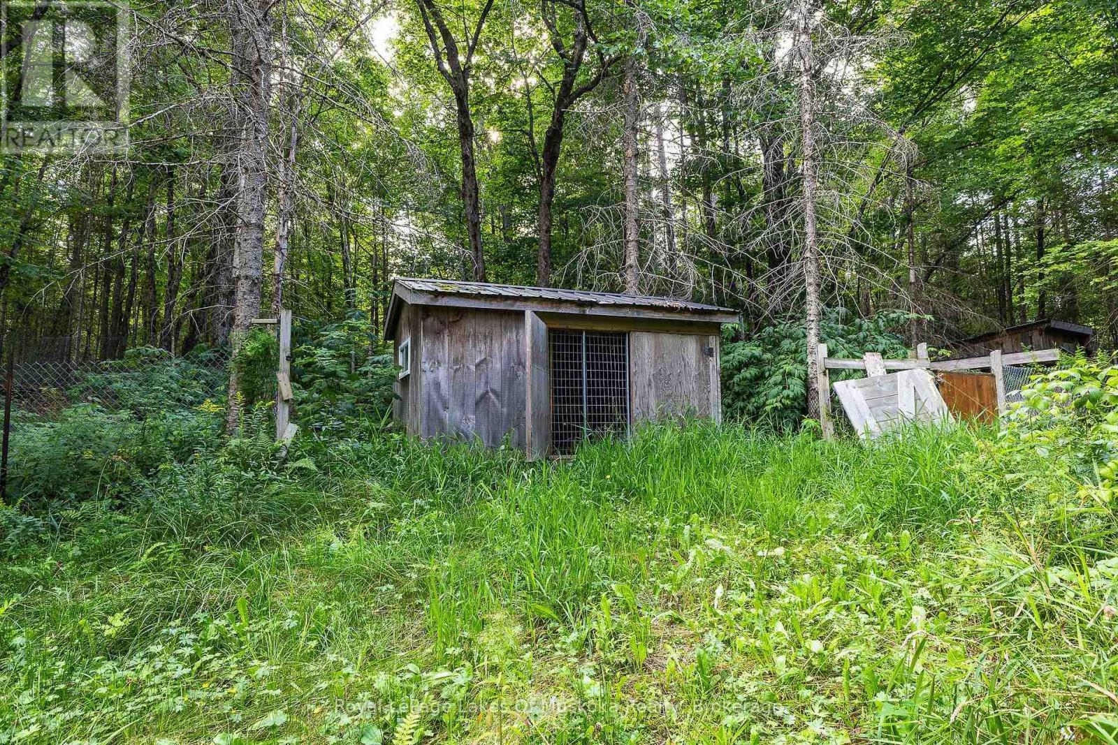 












88 RYE ROAD

,
Parry Sound Remote Area (Lount),




Ontario
P0A1X0

