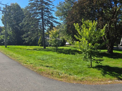 Featured Listing Photo 