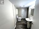 Basement Bathroom