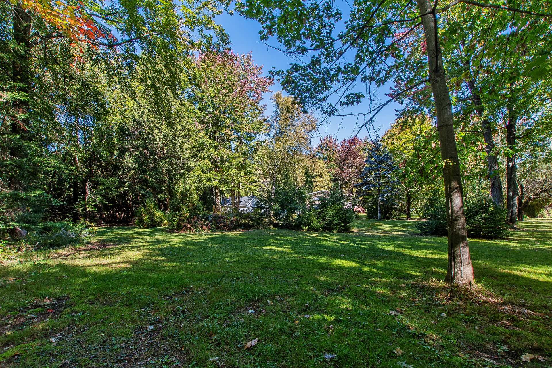 









1890


Rue Comtois

,
Mascouche,




QC
J7K3C2

