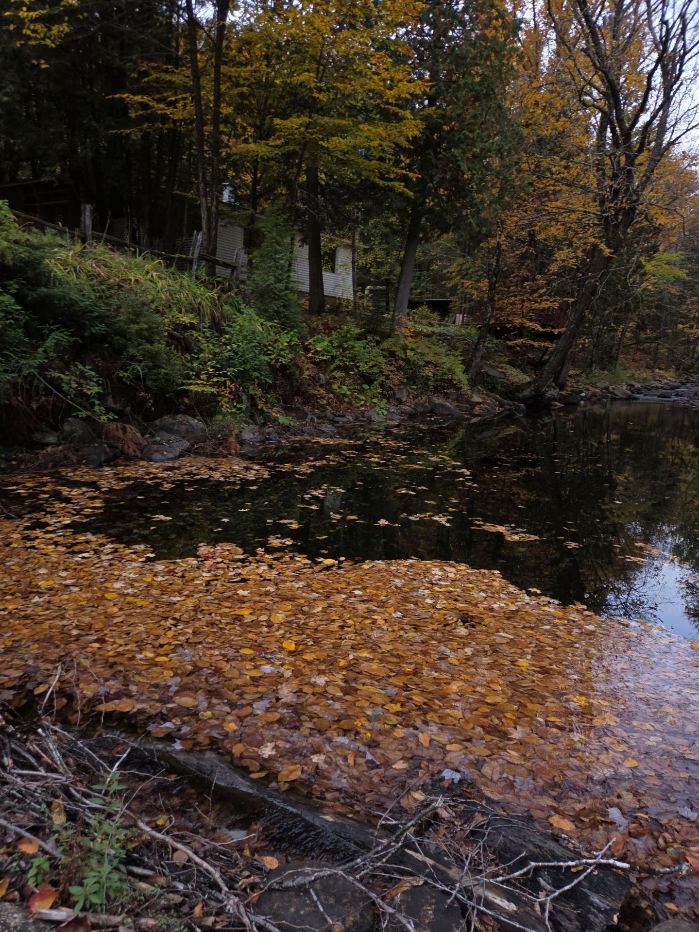 









1300


Rg Sacacomie

,
Saint-Alexis-des-Monts,




QC
J0K1V0

