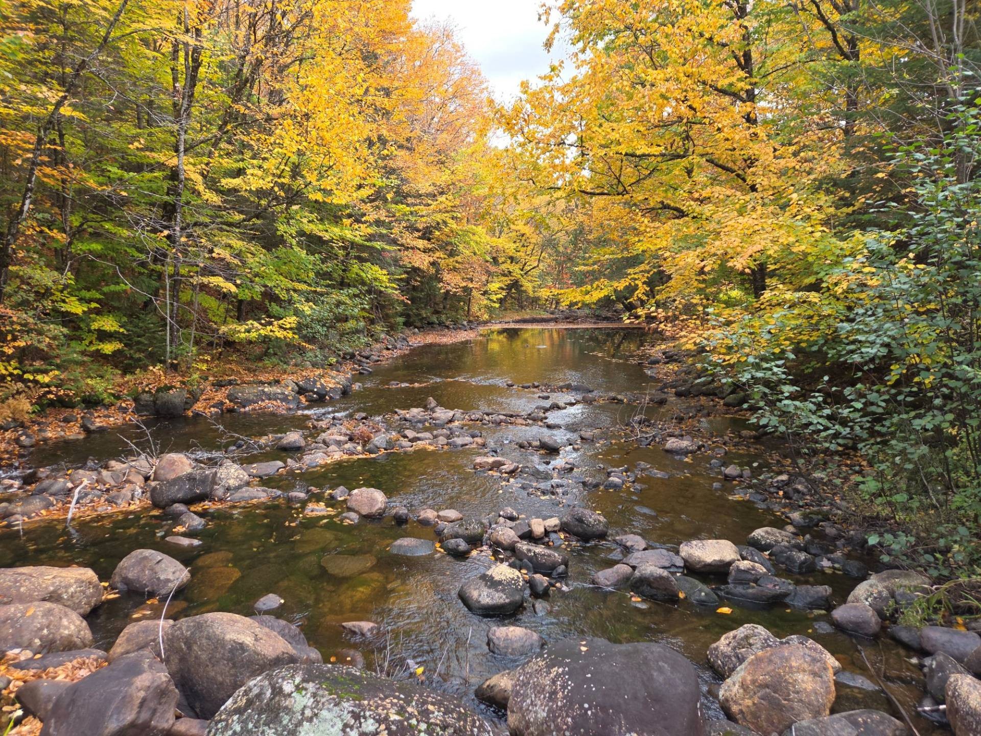 









1300


Rg Sacacomie

,
Saint-Alexis-des-Monts,




QC
J0K1V0

