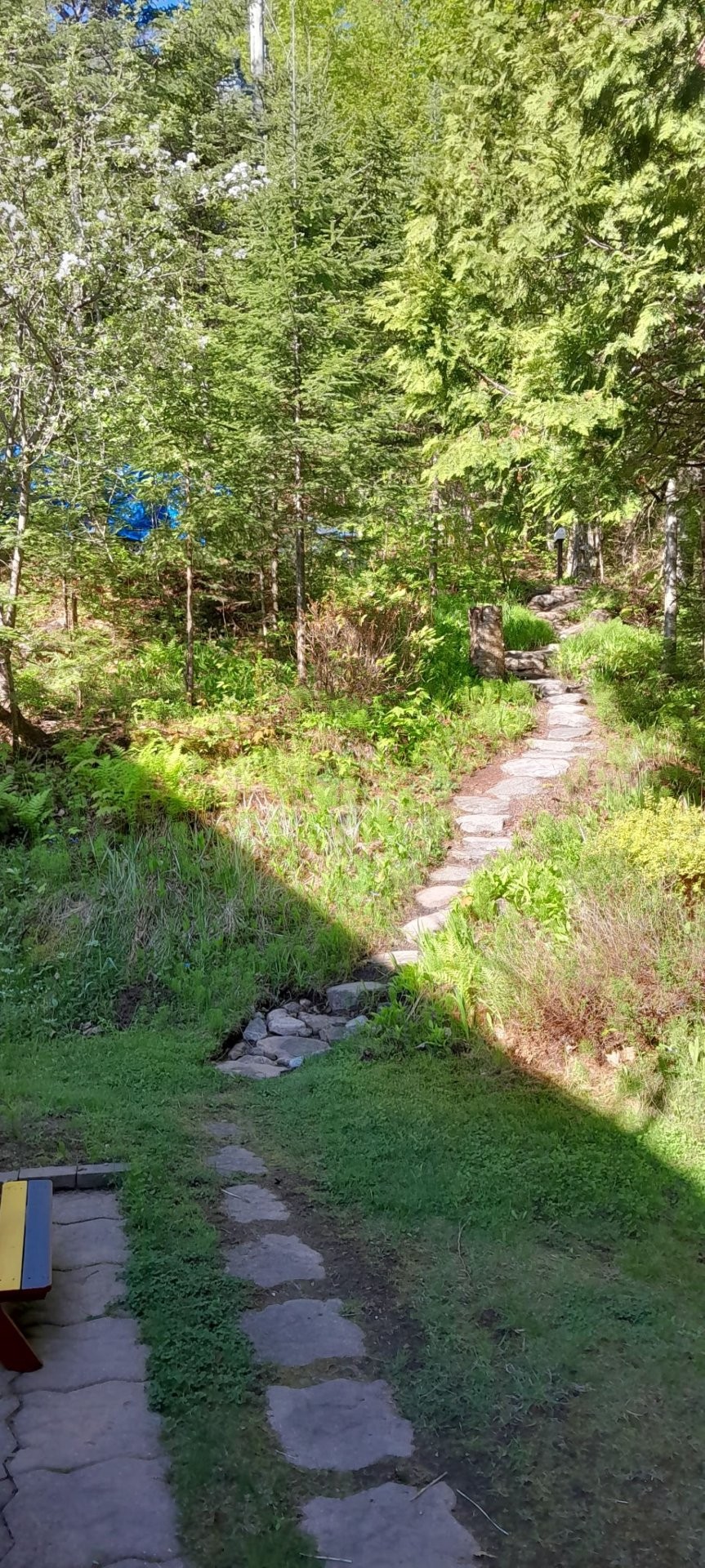 









1300


Rg Sacacomie

,
Saint-Alexis-des-Monts,




QC
J0K1V0

