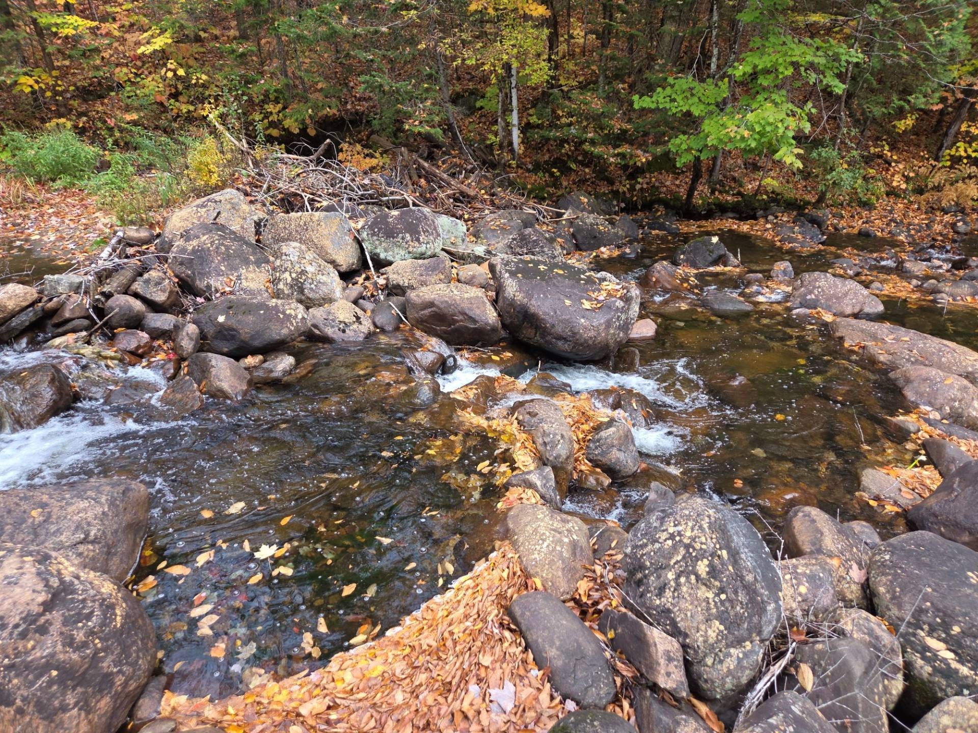 









1300


Rg Sacacomie

,
Saint-Alexis-des-Monts,




QC
J0K1V0

