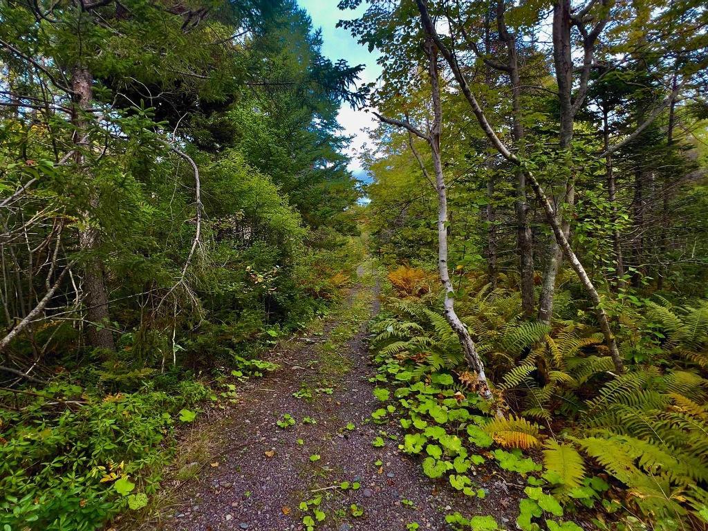 












2209 Lingan Road Road

,
Lingan,




NS
B1H 5J3

