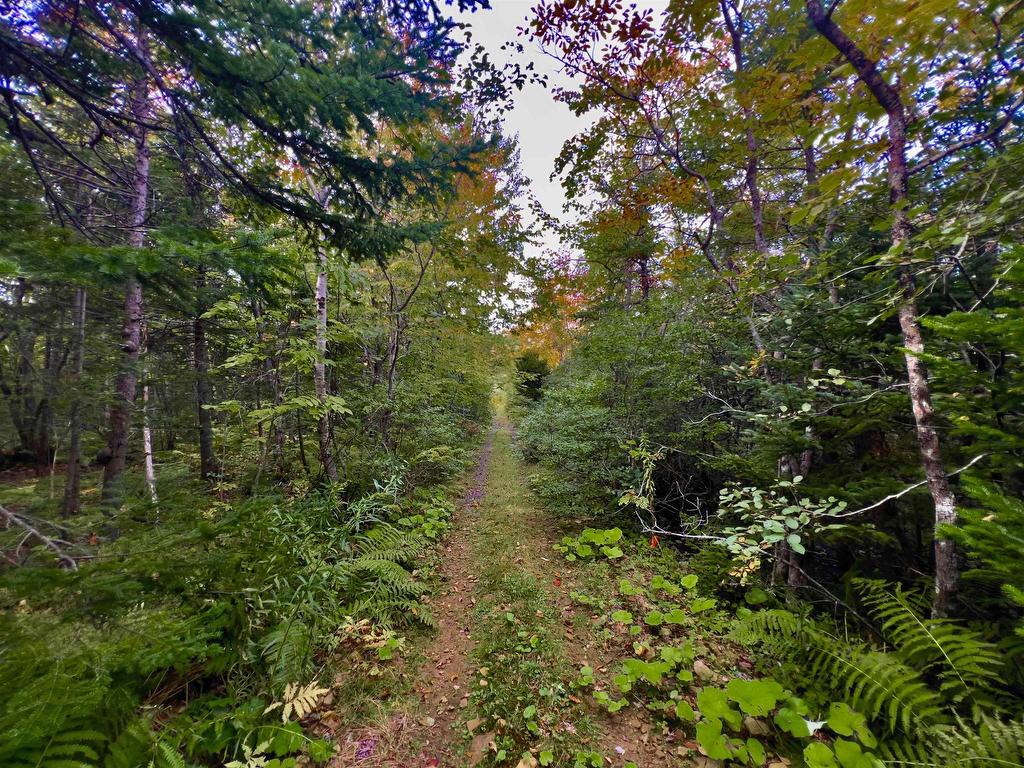 












2209 Lingan Road Road

,
Lingan,




NS
B1H 5J3

