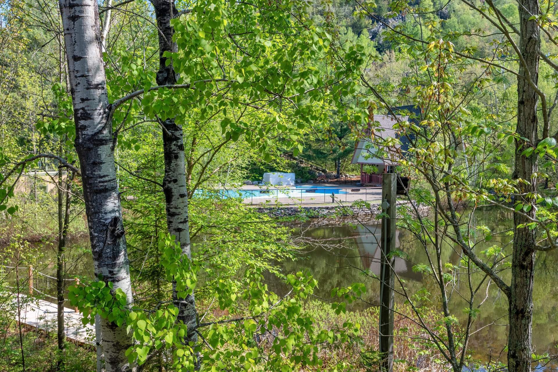 









218


Ch. de la Forêt

, 4,
Mont-Tremblant,




QC
J8E3K8

