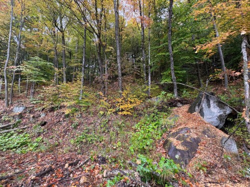 Terre/Terrain