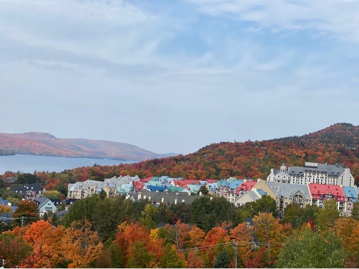 









170


Ch. au Pied-de-la-Montagne

, 7,
Mont-Tremblant,




QC
J8E3M2

