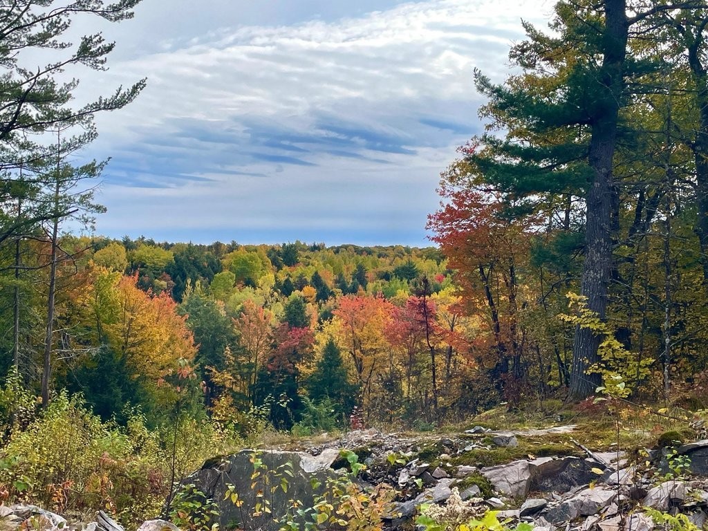









19


Ch. des Roches

,
La Pêche,




QC
J0X3G0

