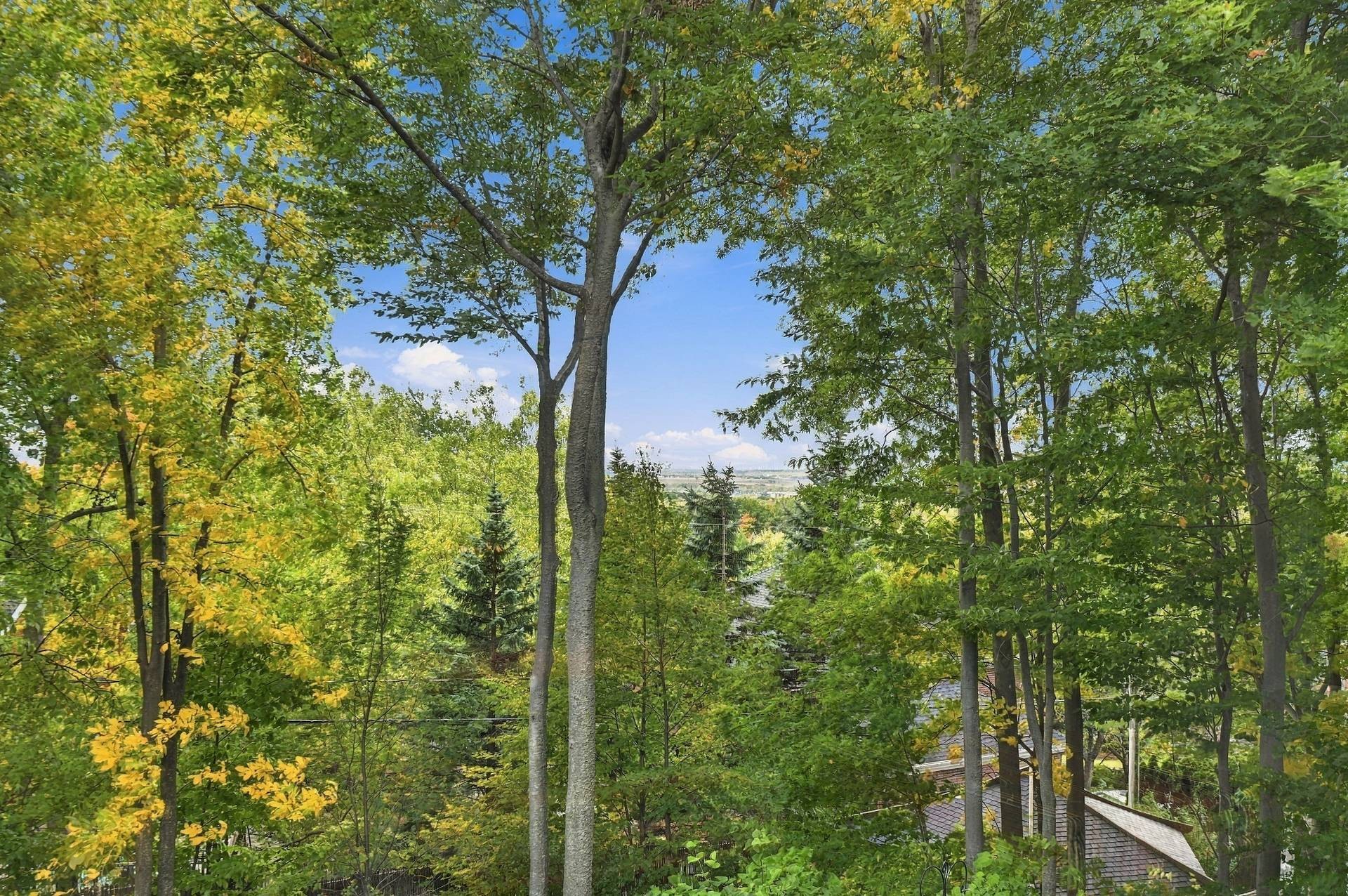 









843


Rue Jordi-Bonet

,
Mont-Saint-Hilaire,




QC
J3H5M7

