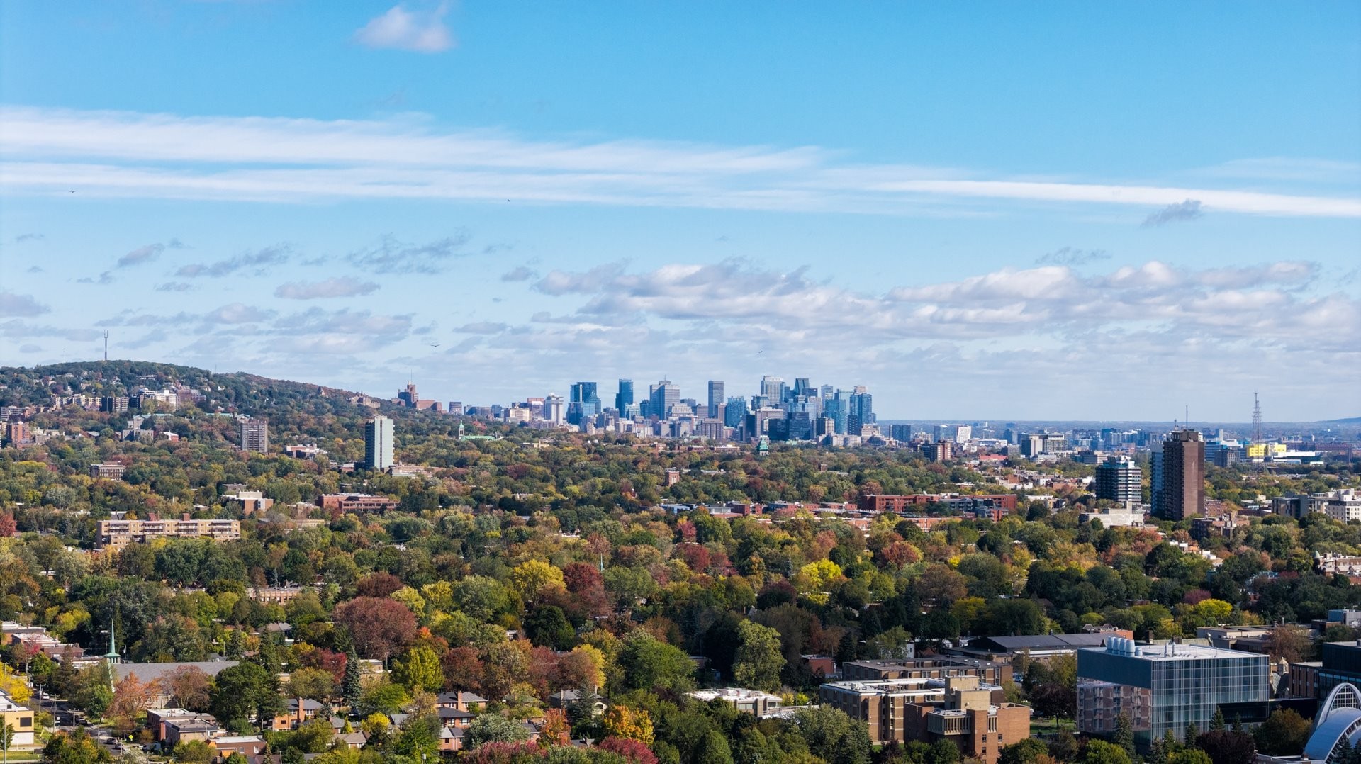 









202


Av. Ballantyne N.

,
Montréal-Ouest,




QC
H4X2C2

