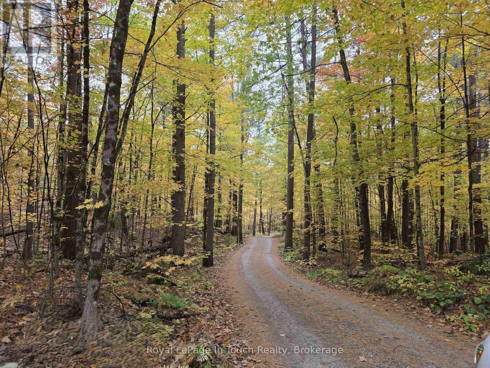 












2021 BEAVER DAM ROAD

,
Severn,




Ontario
L0K1E0

