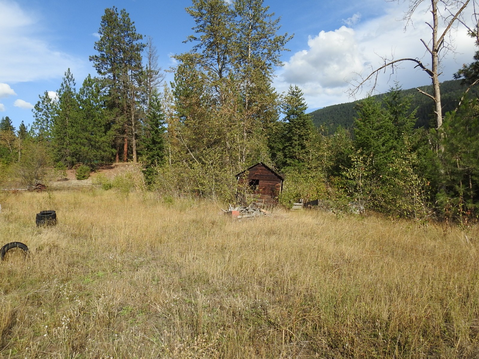 









5585


Silver Star

Road,
Vernon,




BC
V1B 3P7

