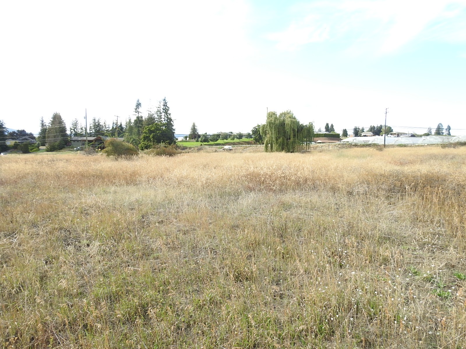 









5585


Silver Star

Road,
Vernon,




BC
V1B 3P7

