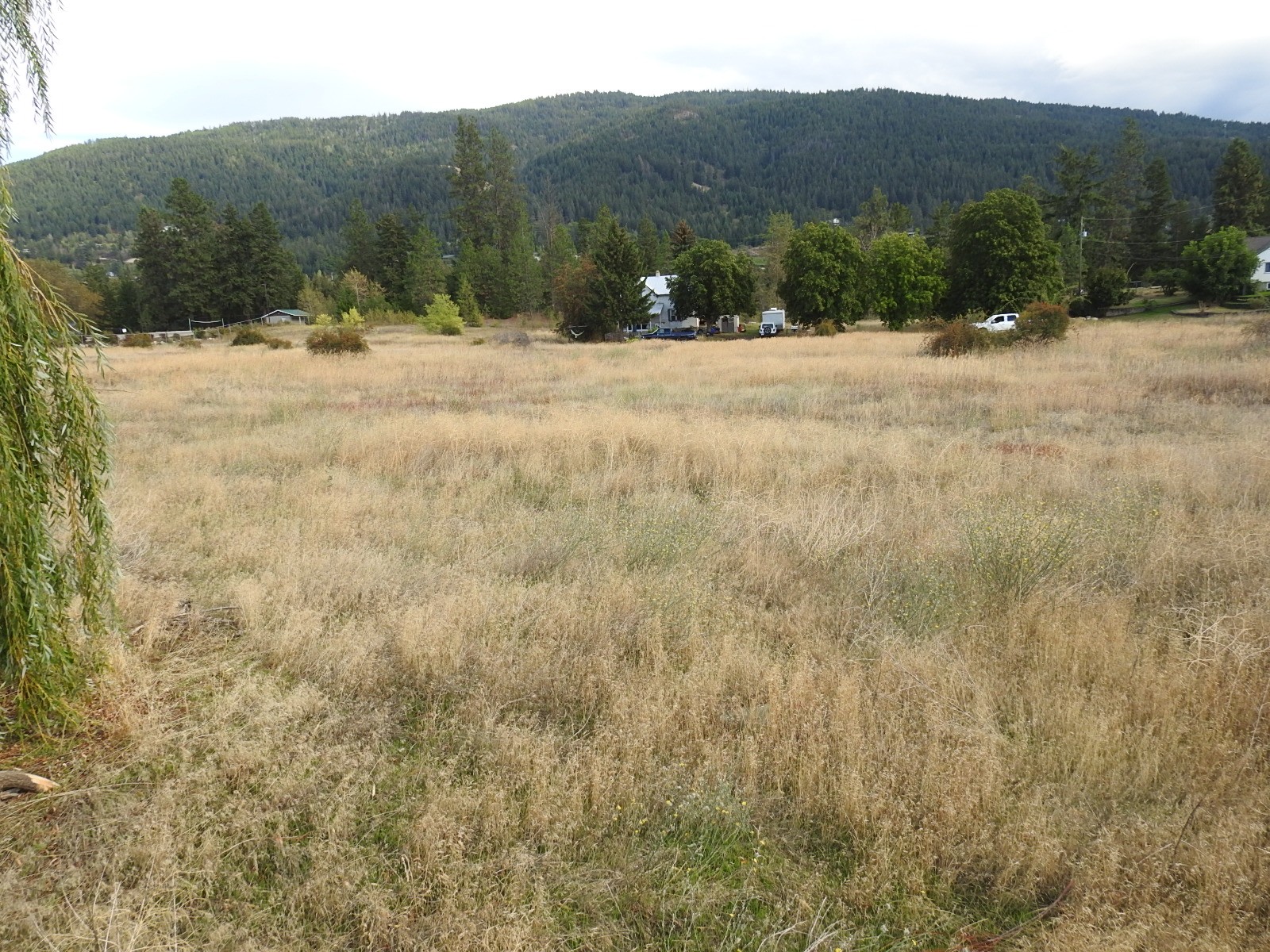 









5585


Silver Star

Road,
Vernon,




BC
V1B 3P7

