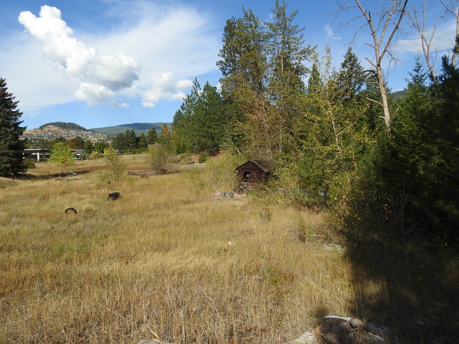 









5585


Silver Star

Road,
Vernon,




BC
V1B 3P7

