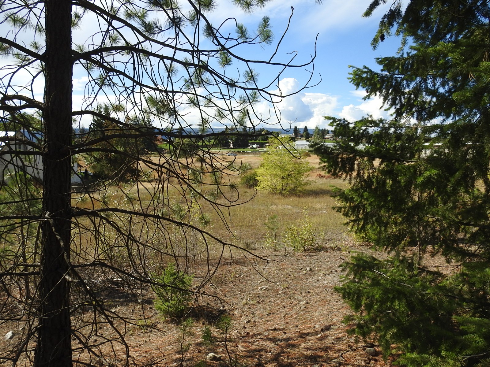 









Lot 43


Silver Star

Road,
Vernon,







BC
V1B 3P7

