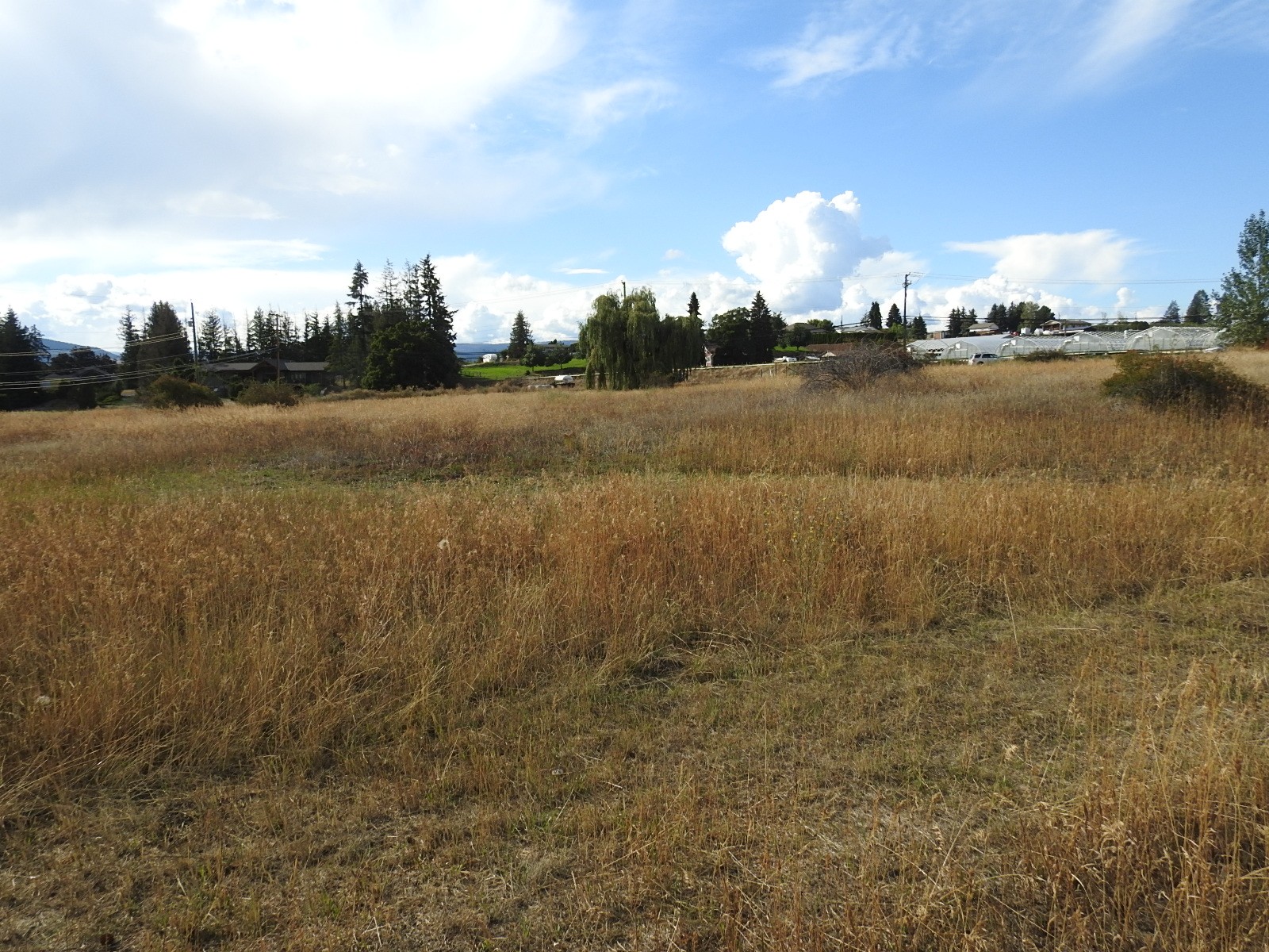 









Lot 43


Silver Star

Road,
Vernon,







BC
V1B 3P7

