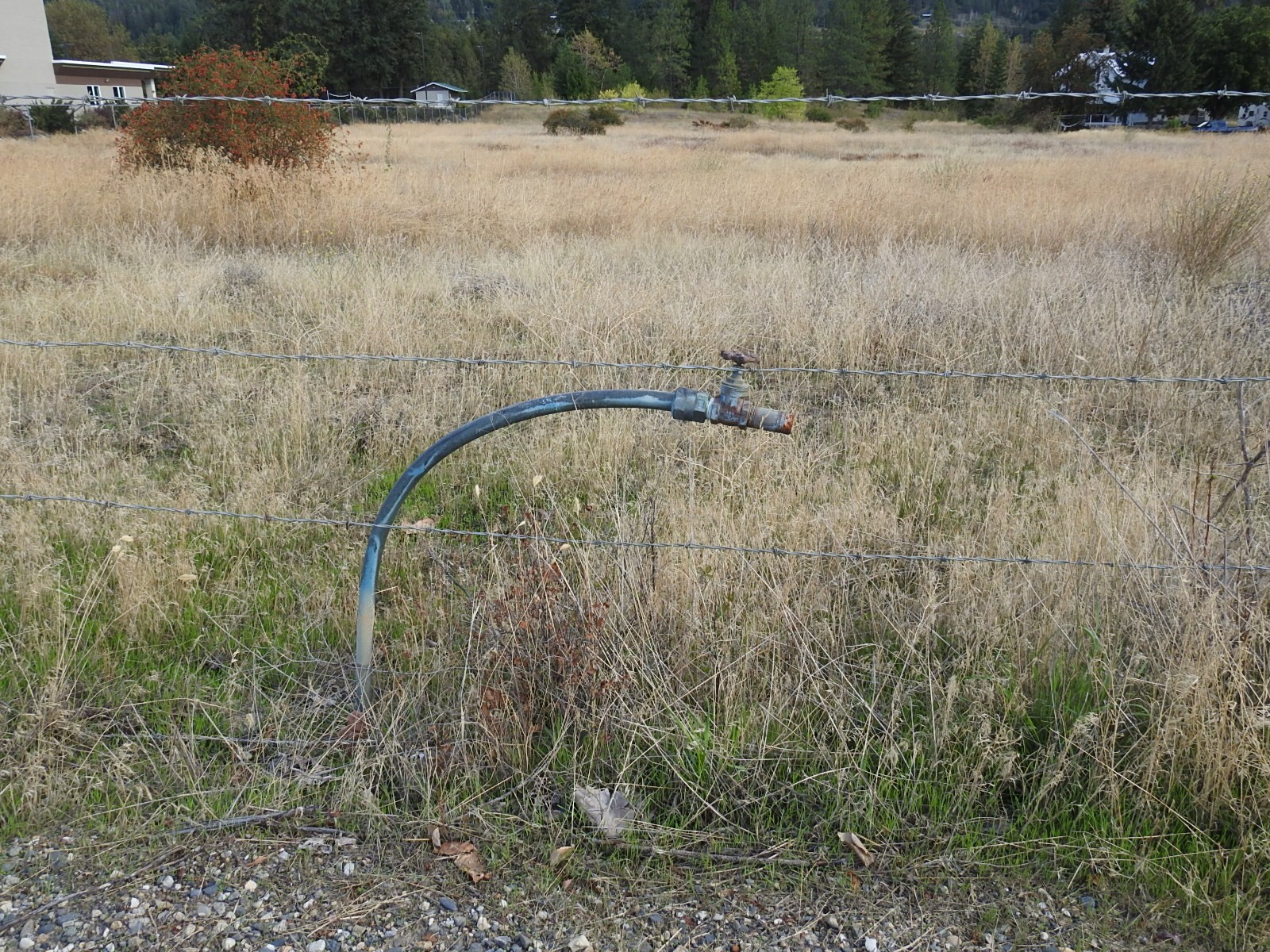 









Lot 43


Silver Star

Road,
Vernon,







BC
V1B 3P7

