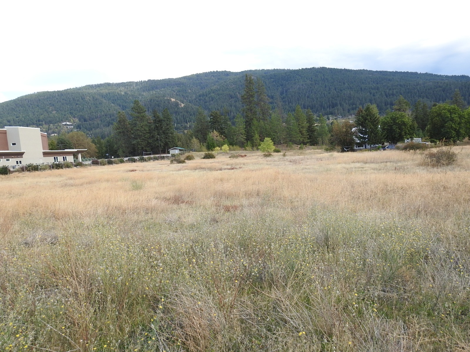 









Lot 43


Silver Star

Road,
Vernon,







BC
V1B 3P7

