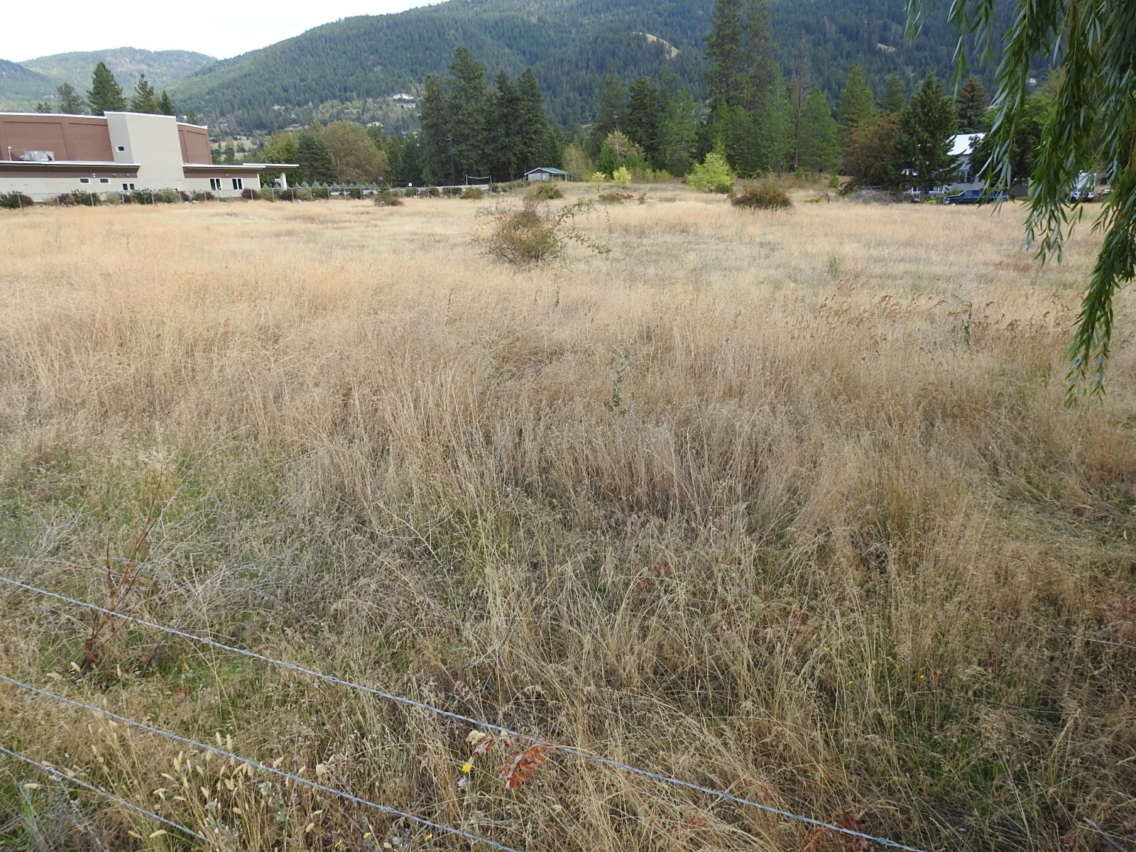 









Lot 43


Silver Star

Road,
Vernon,







BC
V1B 3P7

