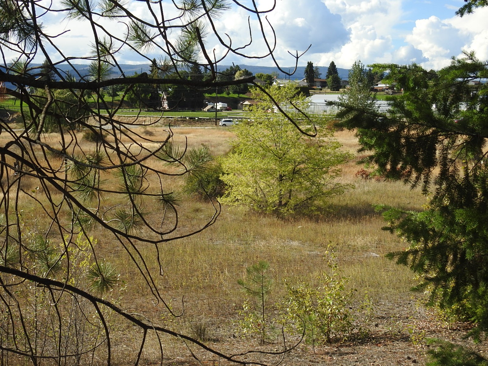 









Lot 43


Silver Star

Road,
Vernon,







BC
V1B 3P7

