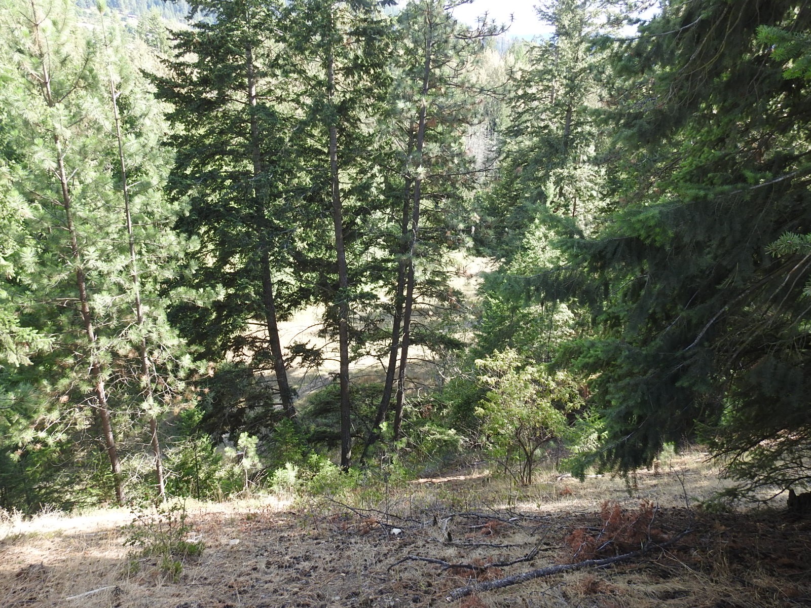 









Lot 43


Silver Star

Road,
Vernon,







BC
V1B 3P7

