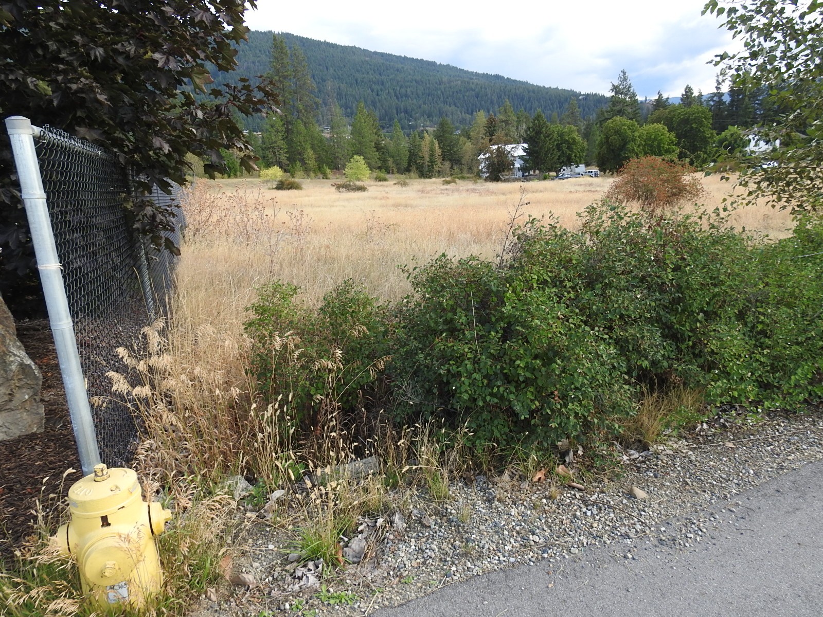 









Lot 43


Silver Star

Road,
Vernon,







BC
V1B 3P7

