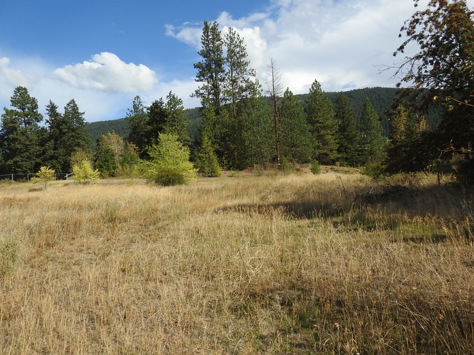 









Lot 43


Silver Star

Road,
Vernon,







BC
V1B 3P7

