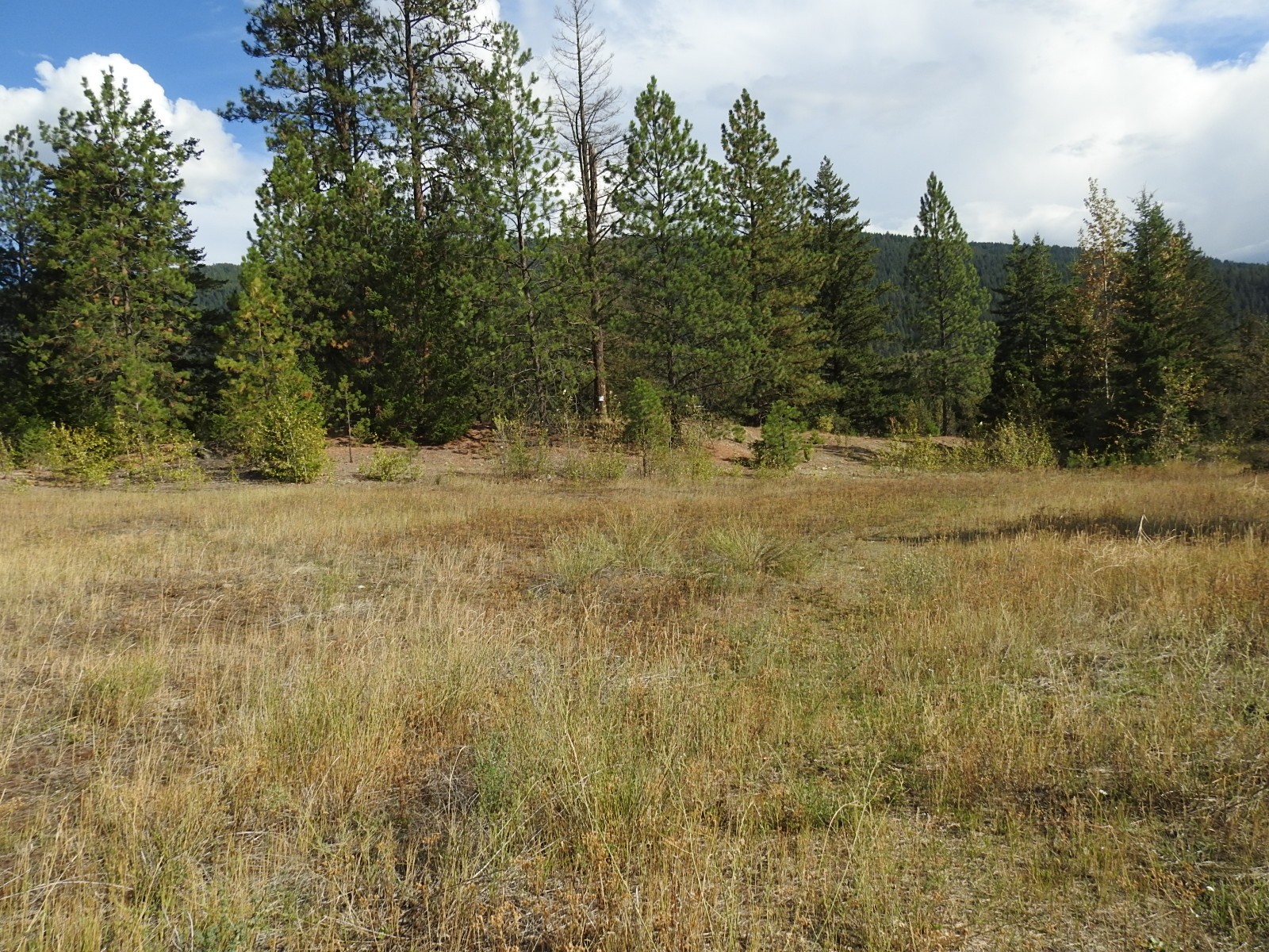 









Lot 43


Silver Star

Road,
Vernon,







BC
V1B 3P7

