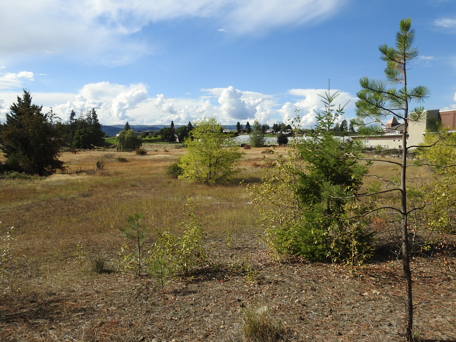 









Lot 43


Silver Star

Road,
Vernon,







BC
V1B 3P7

