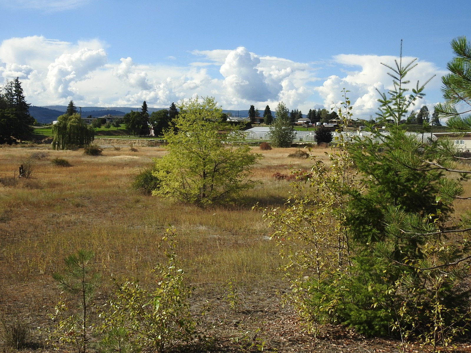 









Lot 43


Silver Star

Road,
Vernon,







BC
V1B 3P7

