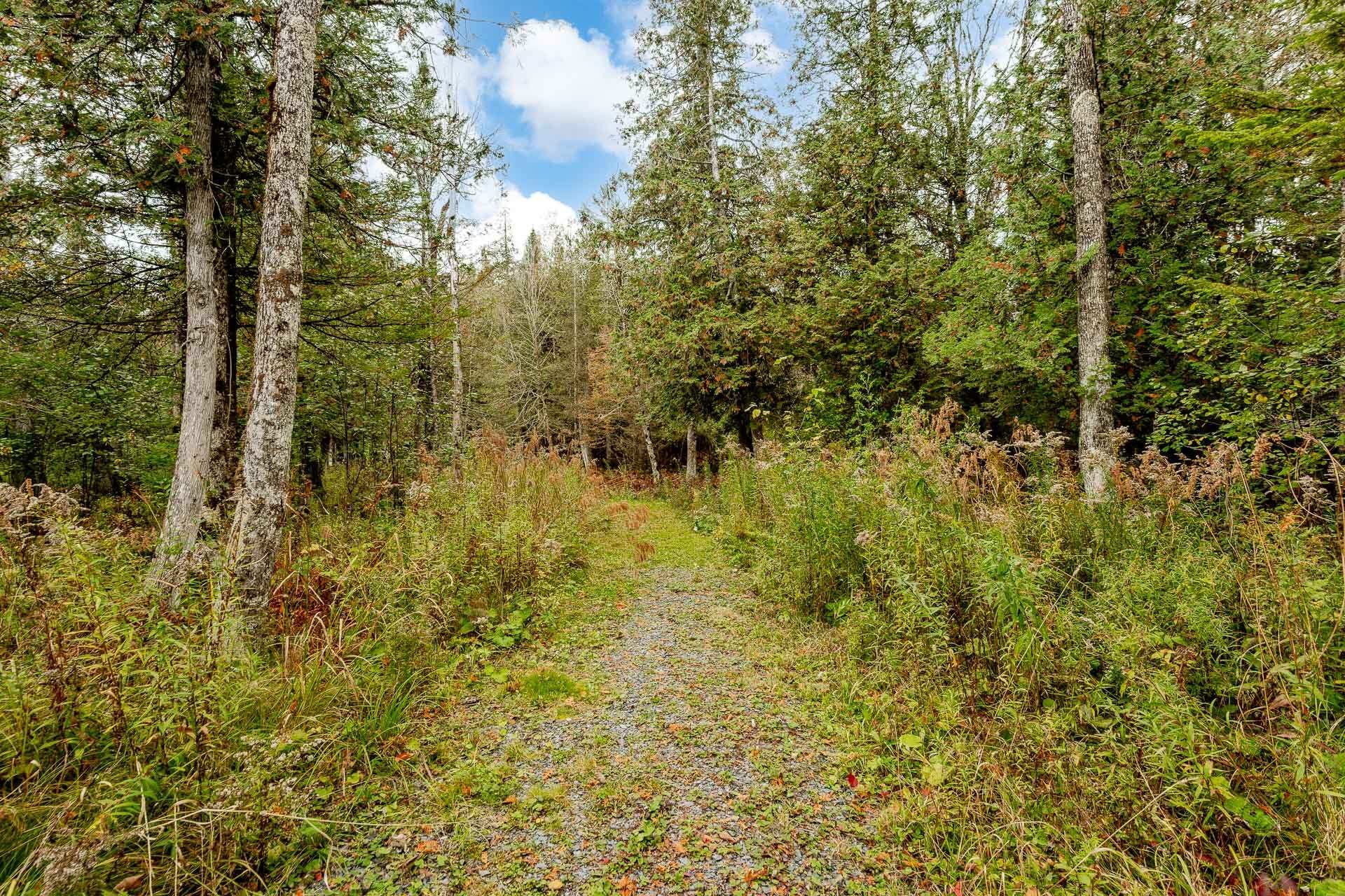 









14


Ch. du Ruisseau-Gale

,
Stanstead - Canton,




QC
J0B3E0

